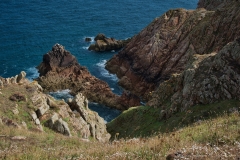 DSC_6764